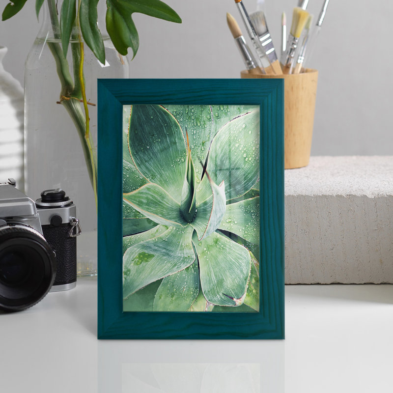 «Green Tropical Succulent I», reproduction de cadre photo simple, H 6 po x l 4 po x P 1 po, Bleu