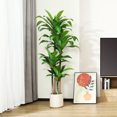 Adcock Artificial Dracaena Tree in White Planter, Lifelike Fake Plant for Indoor and Outdoor Dcor Primrue Size: 70" H x 18" W x 18" D