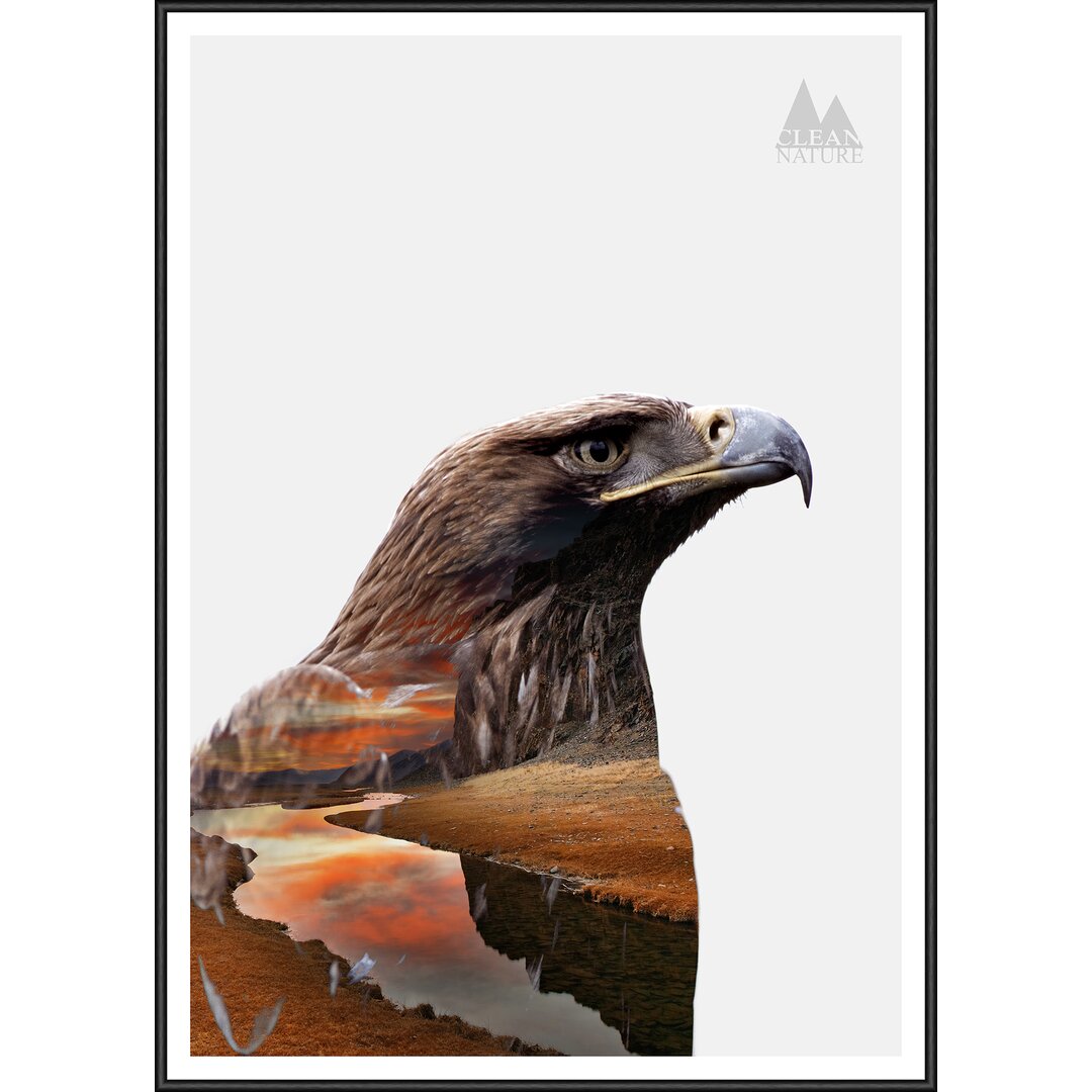 Gerahmtes Poster Eagle, Grafikdruck