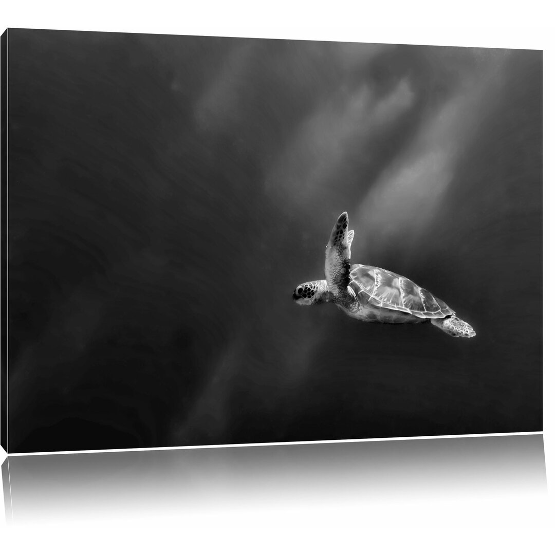 Leinwandbild Alte Schildkröte im Meer in Monochrom