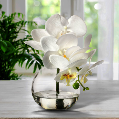 Orchids Arrangement in Jar