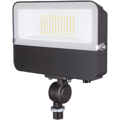LED Security Flood Light for Landscape Wall Washing 5000K Daylight