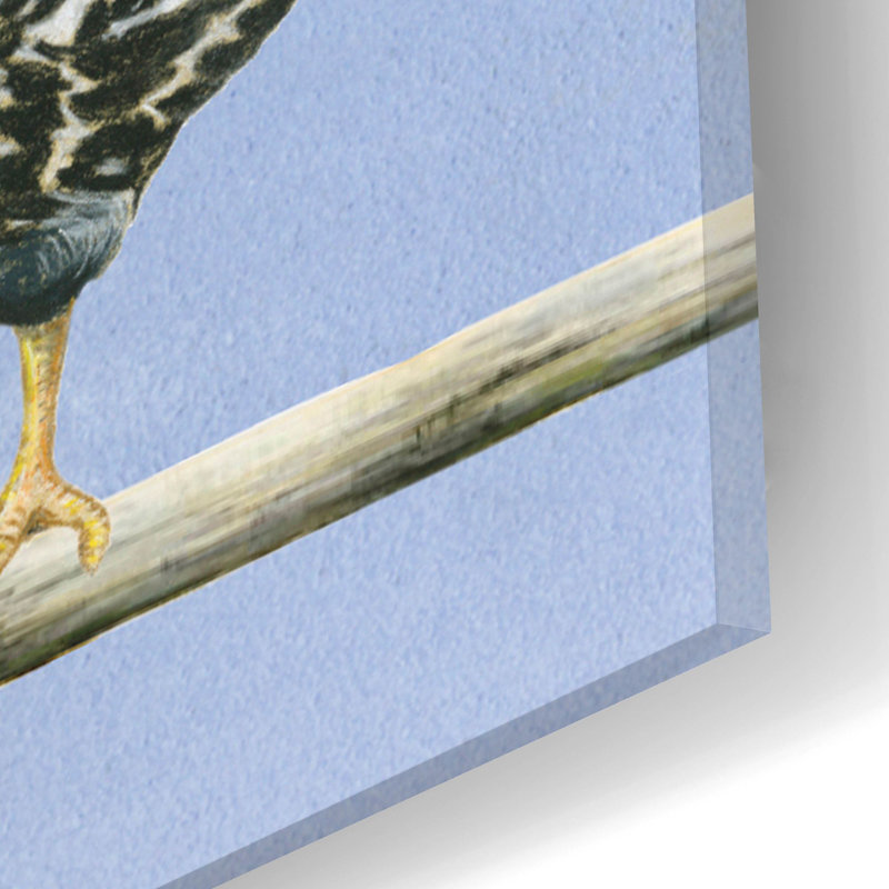 «August Black» par Janet Pidoux, art mural en verre acrylique August Grove®, L 24 po x H 12 po
