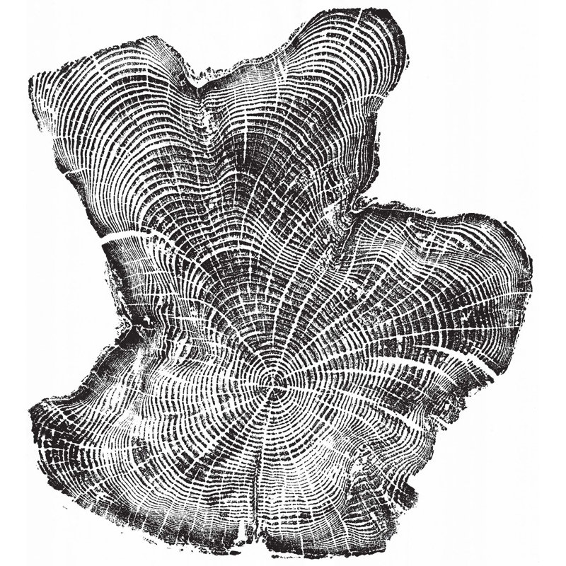 Tillamook Driftwood Print, 40" H x 36" W, Unframed