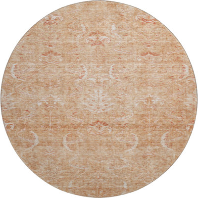 Premium Machine Washable Jamestown AMF1083 Damask Rug