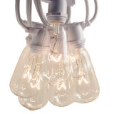 Commercial Edison String Lights Outdoor Plug-in String Light