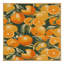  Tapis lavable Orangequat-1116394786