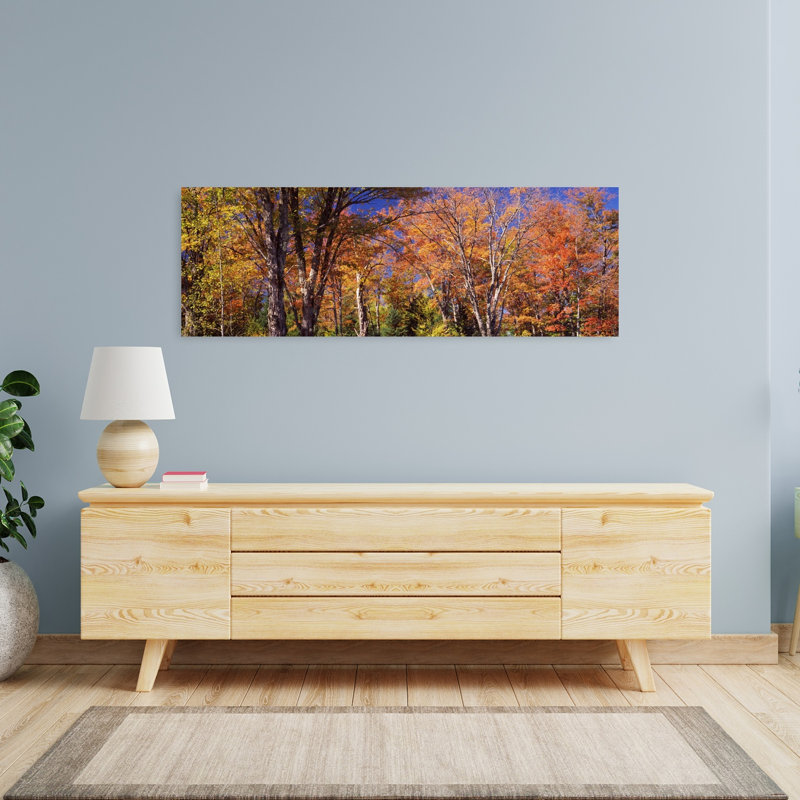 «Trees in Autumn», Vermont, États-Unis, art contemporain de paysage forestier abstrait, H 48 po x l 16 po