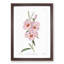 Blooming Pink Hibiscus Flowers - Picture Frame Graphic Art Print-55544755-55544767
