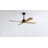52 In. 4 Solidwood Dried Rose Blades Dc Motor Indoor Standard Ceiling Fan With Remote Downrod-434971800-434971814-434971813