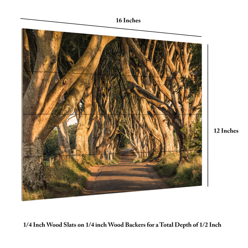 Stefan Hefele  The Avenue Wood Slat Art, H 12 po x l 16 po