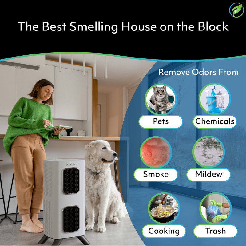 iAdaptAir 2.0 Medium 5-Stage True HEPA Filtration for Viruses, Mould, Dust, Smoke, Pollen & Odours with 2 year Filter Life, Ozone Free Bi-Polar Technology, WiFi Compatible, and up to, 2,650 Sq Ft of Clean Air.
