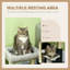 121.92cm H Cat Tree