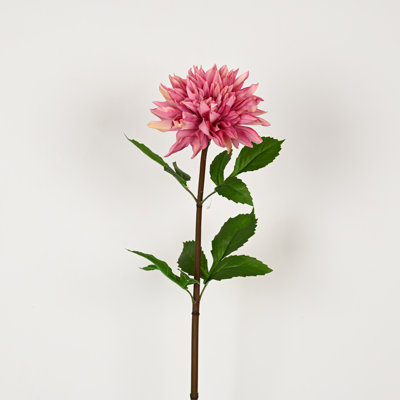 Arrangement floral 28 po Dahlia