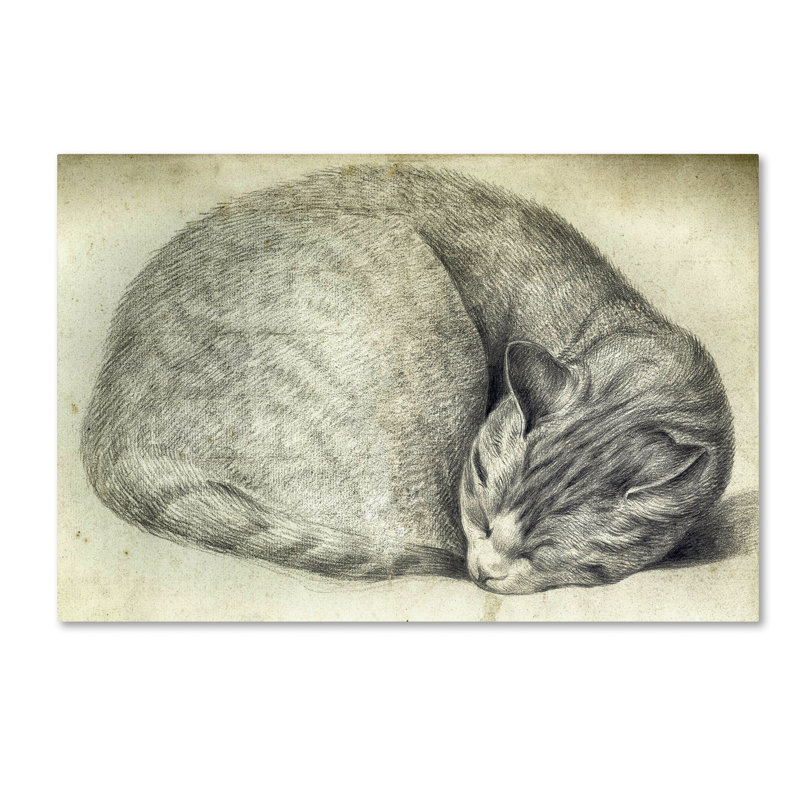 « sleeping cat », art mural sur toile tendue, H 12 po x l 19 po