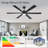 66'' Smart Ceiling Fan With Light – Reversible Dc Motor, Remote & App Control-113834636-113834639