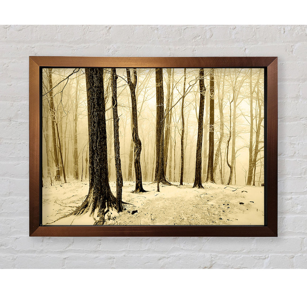 Winter Woodland Snow - Einzelner Bilderrahmen Kunstdrucke