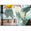 Serviette 20" à imprimé diamond Beedeville