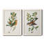 Oiseau antique, botanique et œuf sur toile encadrée, prêt à accrocher-885280168-885280169