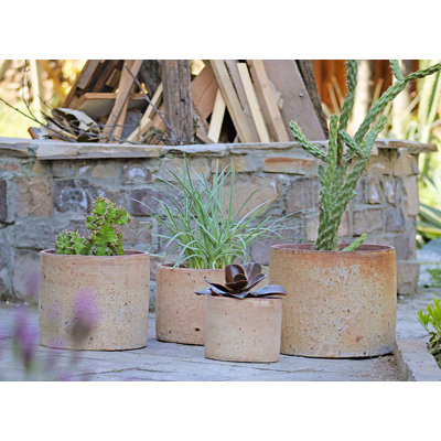 Pots de fleurs cylindriques moyens en terre cuite, lot de 4 - Intérieur/Extérieur