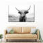 Drôle de vache Highland sur toile-419777073