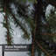 Rideau de douche Winter Bride-562051420