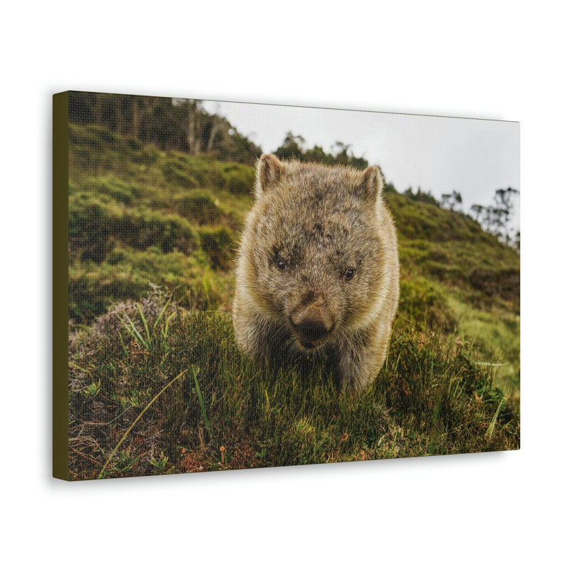 No Frame Print on Canvas, 11cm H x 14cm W