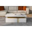 Coffee Table with Storage