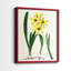 AntiqueFloralFolioVI - reproduction encadrée de qualité supérieure - prête à être accrochée - aucun clou requis - aucun clou requis-622635969-622635983