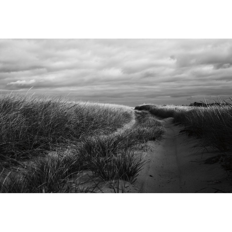 Beach Grasses by Aledanda - No Frame Print on Canvas, 51cm H x 76cm W x 3.8cm D