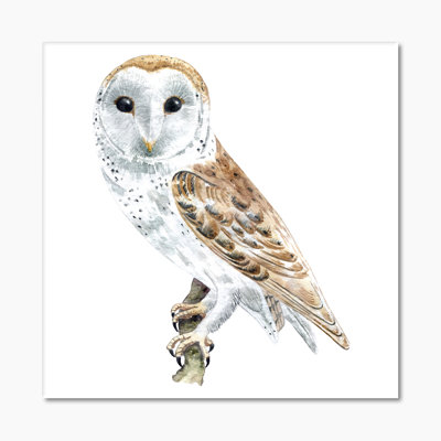 Portrait of a Barn Owl II - reproduction d'art sur toile traditionnelle