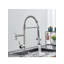 AvaMalis Pull Down Kitchen Faucet-87348622