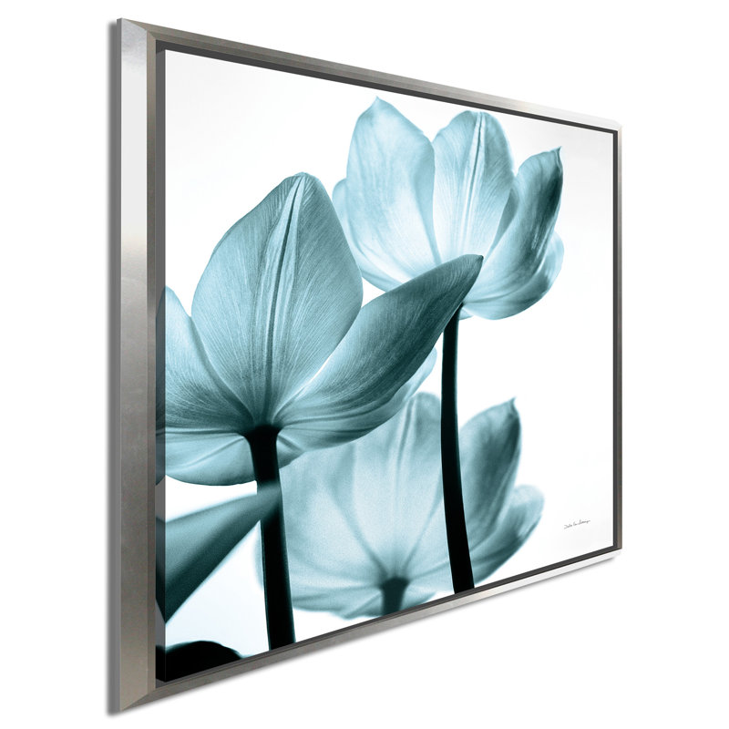 «Translucent Tulips III Sq Aqua Crop», reproduction de photo sur toile tendue, H 21,5 po x l 21,5 po x P 2 po