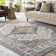 Machine Woven Blue/Brown/Grey Indoor Rug