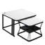Aubreeana Frame Coffee Table with Storage