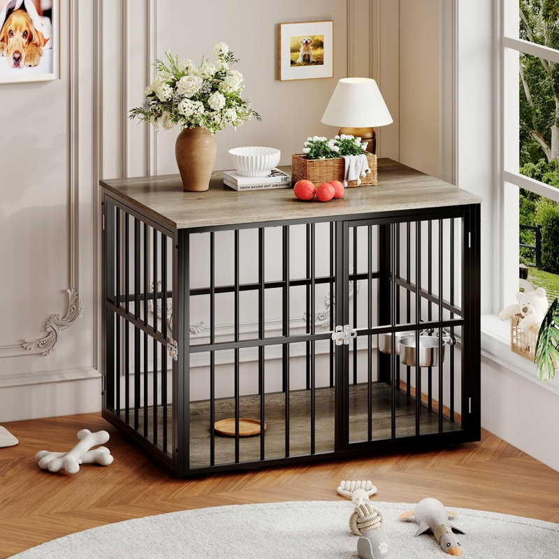 Dog House