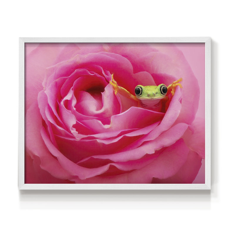Hanging On VIII -Framed Print - Restickable, White, 16" H x 20" W