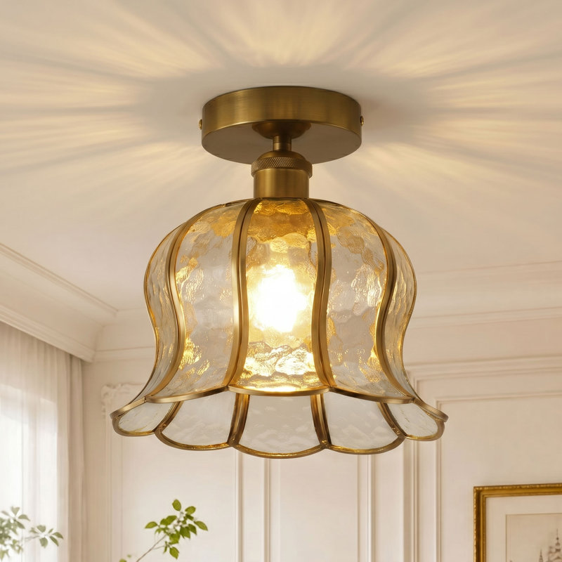 1-Transparent glass dimmable iron Flush Mount light