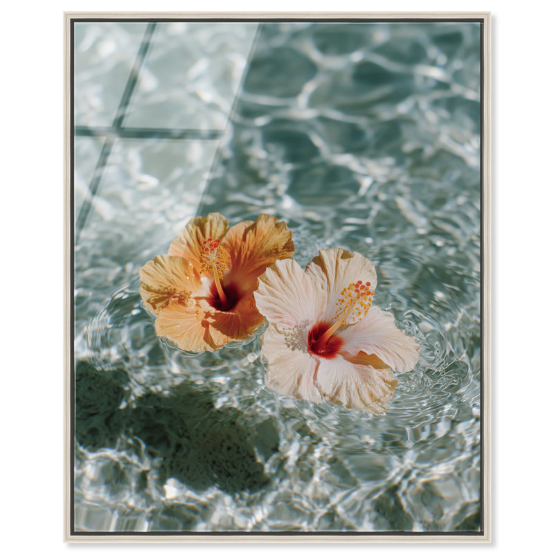 «Floating Hibiscus», impression murale encadrée à l'acrylique par Notoriart, cadre argenté, 36 x 45, 46"H x 37"W