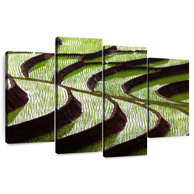 Alvord Curvy Rice Terraces