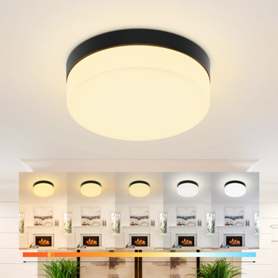 11.2" Round LED Flush Mount Ceiling Light, 5CCT Adjustable, Minimalist Black Lighting Fixture For Kitchen, Bedroom, Living Room, Entryway & Hallway