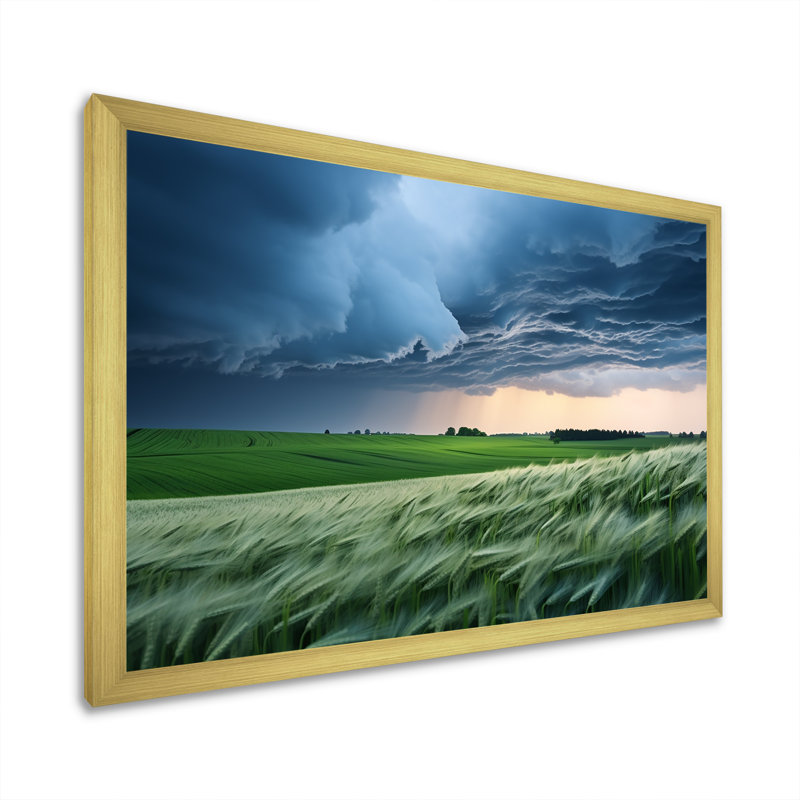 «Storm on Farm Landscape IV - Storms», art mural, Cadre doré à coins fermés, H 24 po x l 32 po x P 1 po