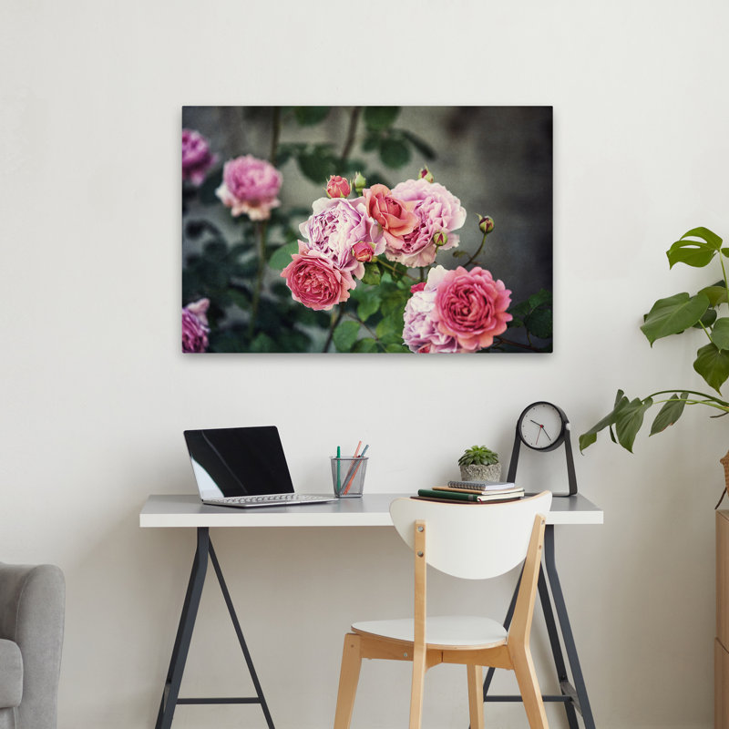 Plantes, fleurs, roses d'Ecosse III, art mural, H 24 po x l 36 po