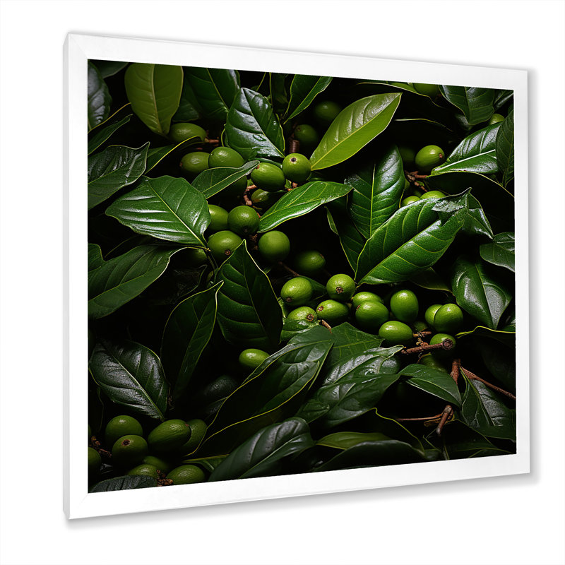 Tropical Robusta Palm Rhythms sur impression sur toile, H 36 po x l 36 po x P 1,5 po, Cadre simple blanc