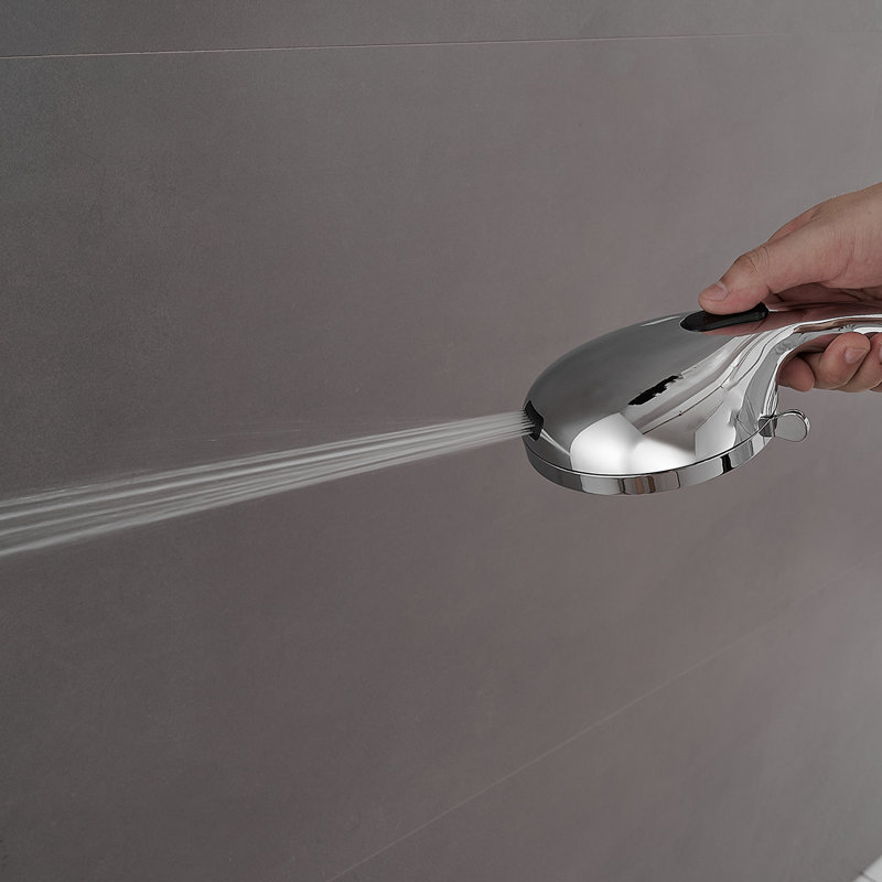 Pomme de douche double 1,8 GPM GPM, Chrome poli