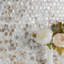 Conchella Penny Natural 11-1/4" x 11-5/8" Natural Shell Mosaic Tile