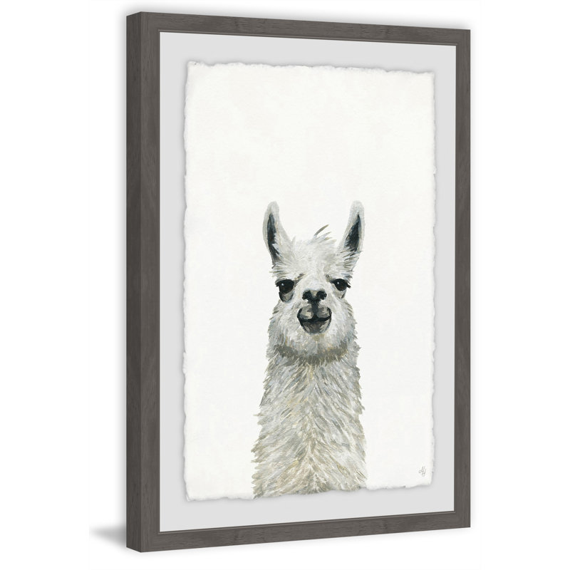 Rashad Llama Close-up 1 Piece Single Picture Frame Painting, 61cm H x 41cm W