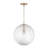 1 - Light Single Pendant-1942786376