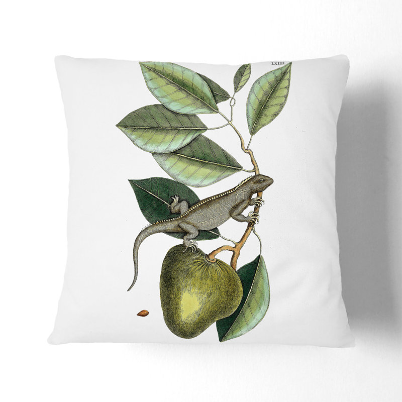 Lizard by Mark Catesby Cushion with Filling, 40cm H x 40cm W x 15cm D