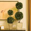 Boxwood Topiary in Ceramic Decorative Vase-20210600